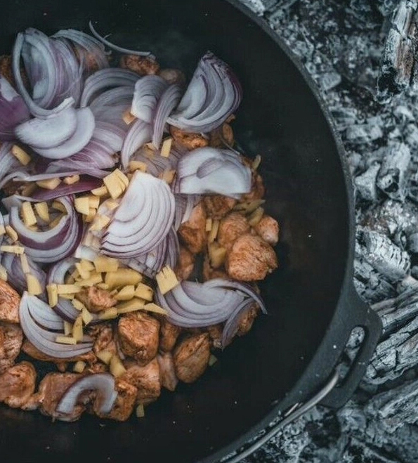 Tave za vatru: savjeti i savjeti za odabir