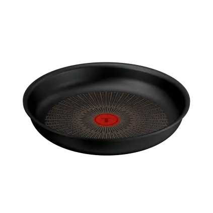 231067 panev ingenio excellence fusion 26 cm titan tefal