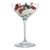 Čaša za šampanjac SPECIAL GLASSES DESERT/CHAMPAGNER SAUCER, set od 4 kom, 250 ml, Spiegelau