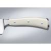 Univerzalni nož CLASSIC IKON 16 cm, krem, WÜSTHOF