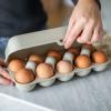 Posuda za jaja EGGS TO GO, 28 cm, za 10 jaja, pustinjsko sunce, Koziol