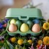 Posuda za jaja EGGS TO GO MINI, 17 cm, za 6 jaja, lisnato zelena, Koziol