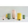 Kanta s pedalom NEWICON, 5 l, platina, Brabantia