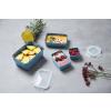 Kuhinjska posuda za pohranu MASTER SEAL COLOUR EDITION N1030810 , set od 4 kom, plava, plastika, Tefal