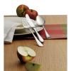 Set pribora za jelo KENT PLUS, 66 kom, WMF