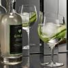 Čaša za gin Eva Trio