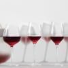 Čaša za crno vino Bordeaux Eva Trio