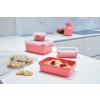 Kuhinjska posuda za pohranu MASTER SEAL COLOUR EDITION N1030910 , set od 4 kom, koraljno crvena, plastika, Tefal