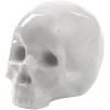 Kućni ukras MEMORABILIA MY SKULL, 25 cm, bijela, porculan, Seletti