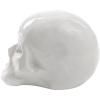 Kućni ukras MEMORABILIA MY SKULL, 25 cm, bijela, porculan, Seletti