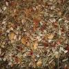 203424 2 bio smes koreni happy roots 45 g mill mortar