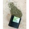 Organske mješavine začina ZA'ATAR, 40 g, Mill & Mortar
