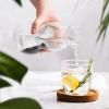 Karafa za vodu EAU GOOD, 800 ml, prozirno, staklo, Black+Blum