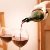 Točilica za vino SOFT, set od 5 kom, L'Atelier du Vin