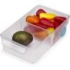 Organizator za hladnjak FRIDGESTORE 851663, 31 cm, prozirna, plastična, Joseph Joseph