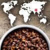 Divlja paprika TIMUT, 4 x 10 g, Peugeot