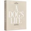 Foto album A DOG´S LIFE, bež, Printworks