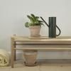 Kanta za zalijevanje BLOOM, 2 l, bor zelena, nehrđajući čelik, Stelton