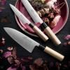 Japanski nož DEBA 18,5 cm, smeđa, Lion Sabatier
