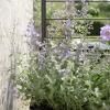 218108 4 opora pro rostliny simply grow 70 x 102 cm cerna ocel eva solo