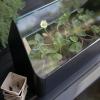 218093 3 kvetinac simply grow 42 x 32 cm cerna ocel eva solo
