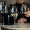 221657 1 sklenice na bile vino enoteca 364 ml sada 2 ks zwiesel glas